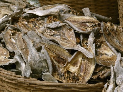 Dried fish at fish market - Ratnagiri, Maharashtra, India