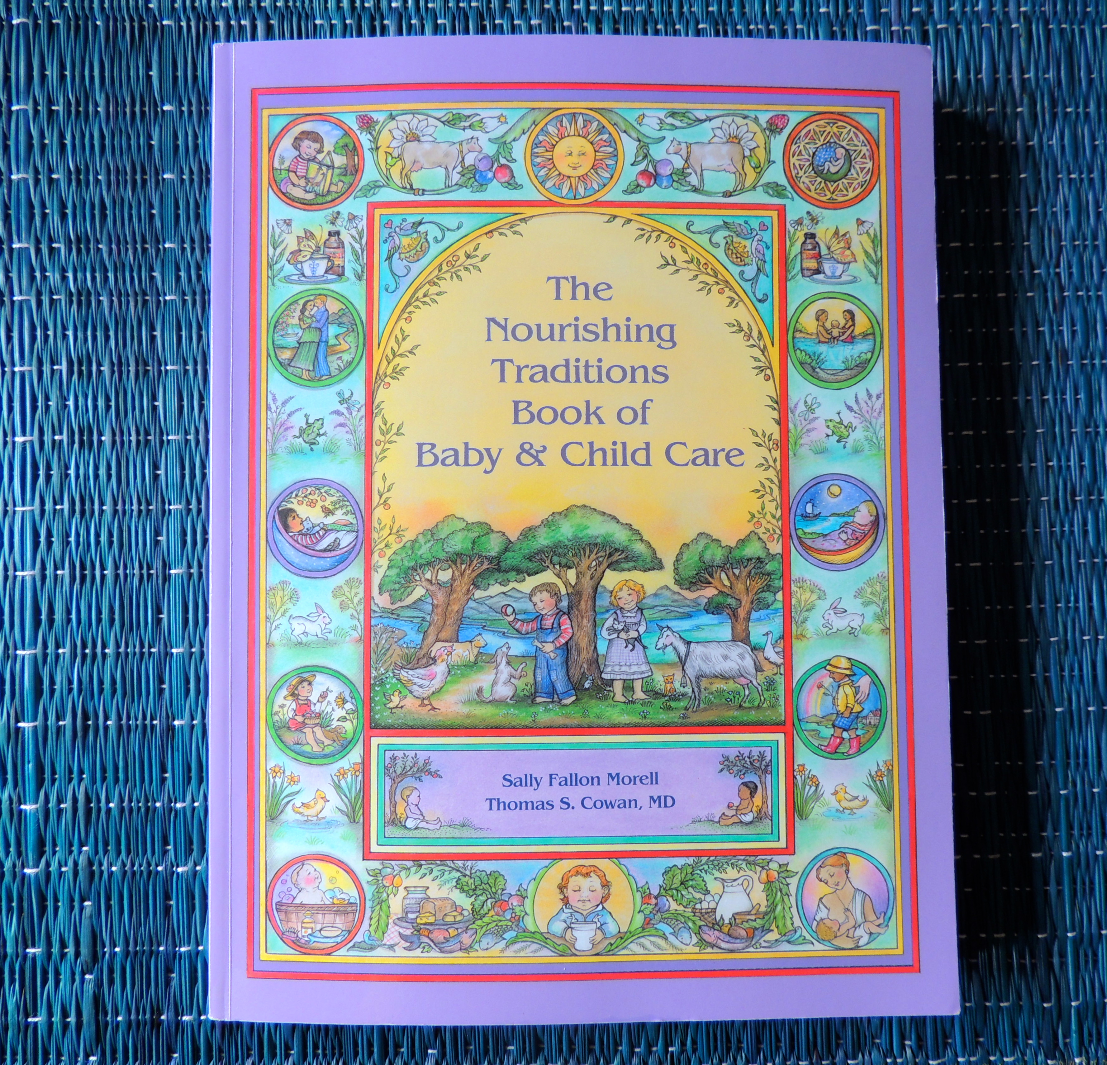 nourishing traditions book of baby and child care