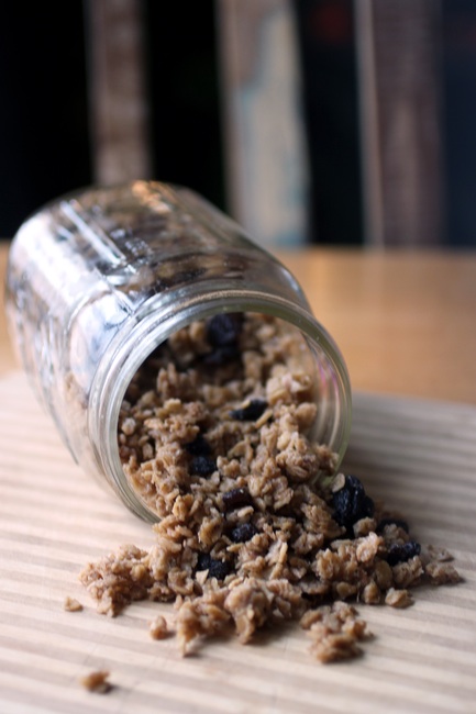 Granola Done Right: A Simple Soaked Granola | The Radiant Life Blog