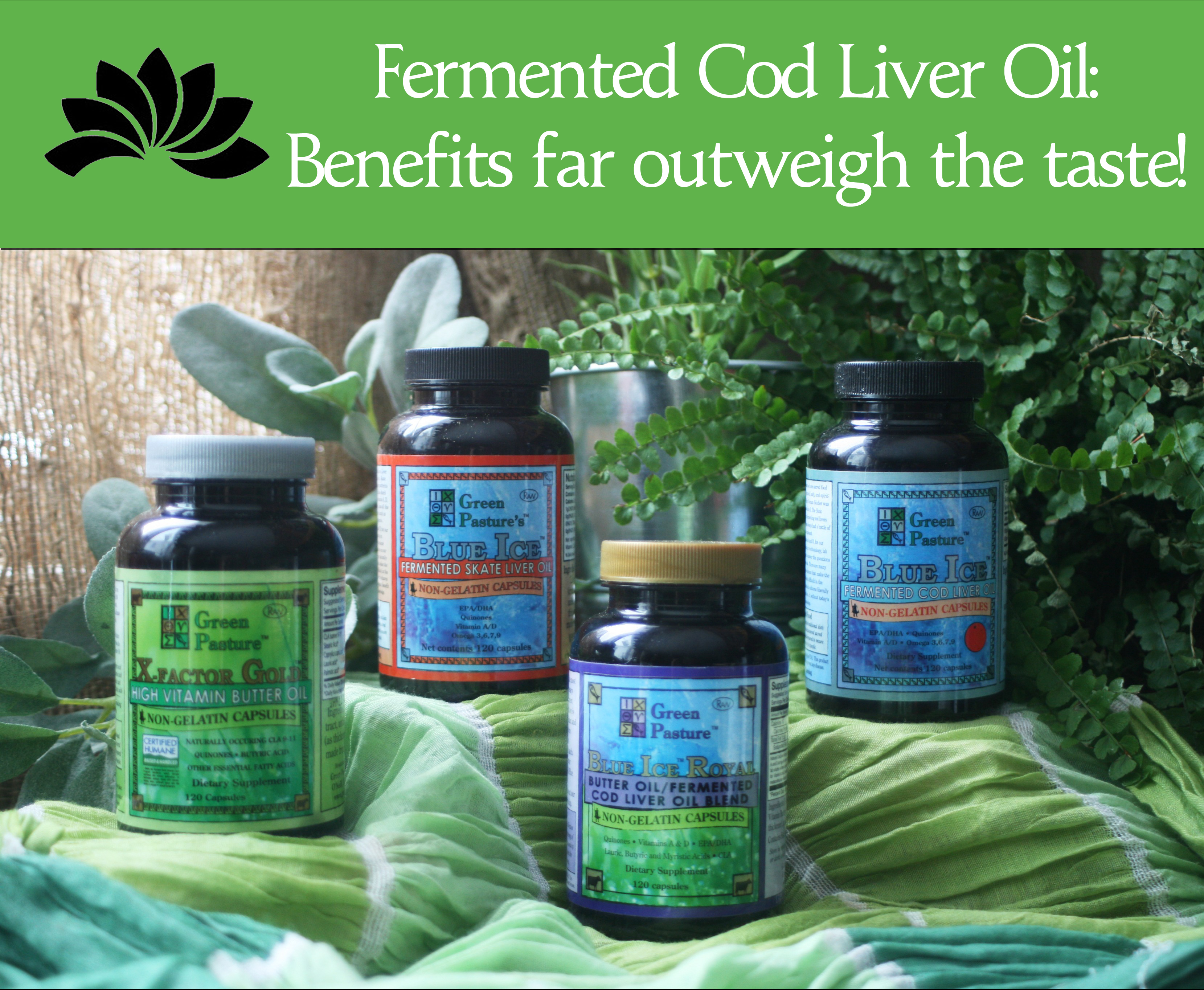 fermented cod liver oil