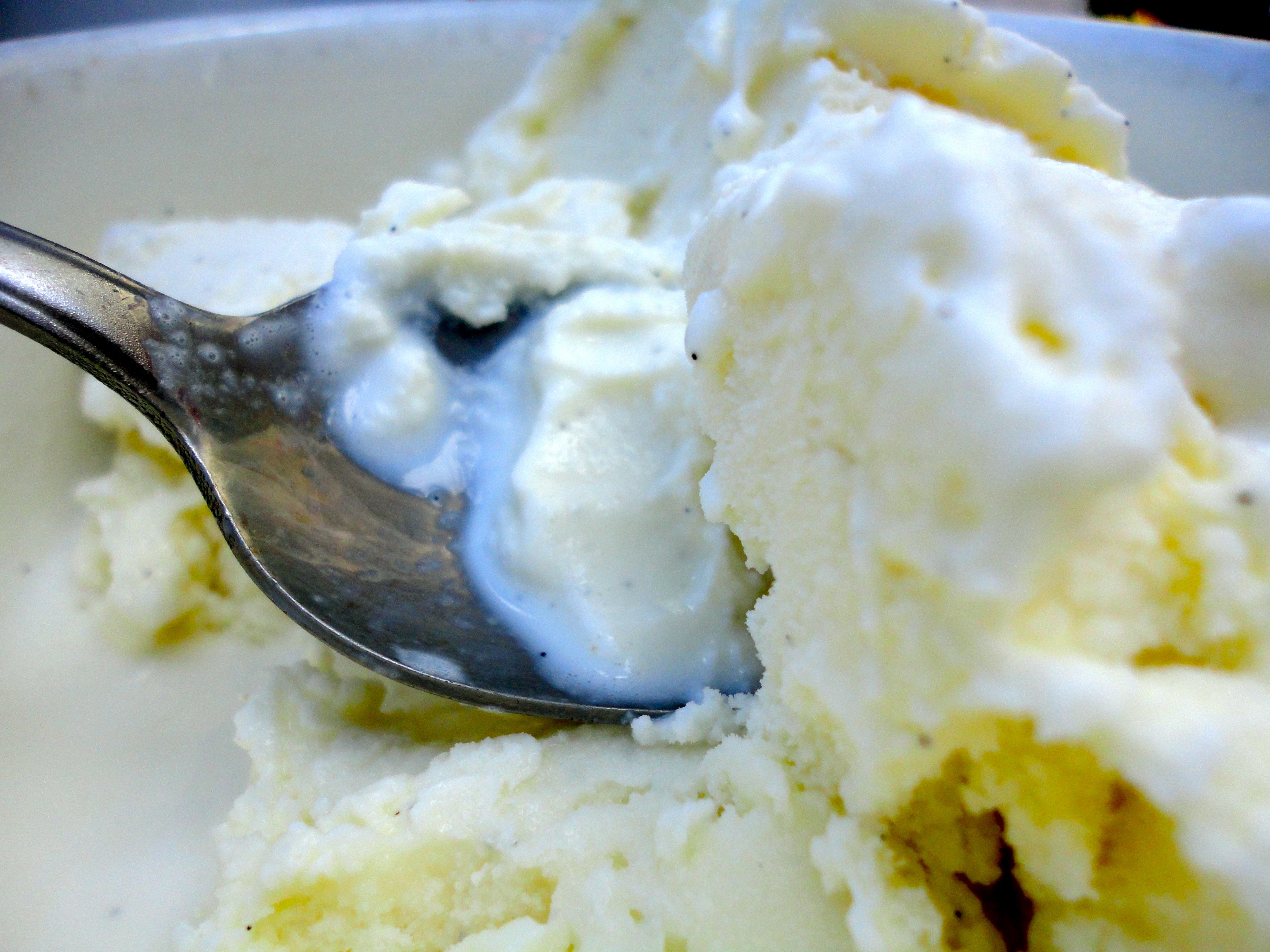 nourishing traditions ice cream