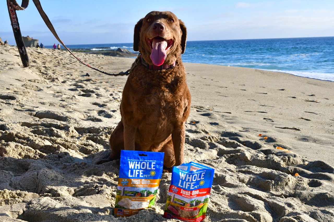 real-food-dog-treats.jpeg