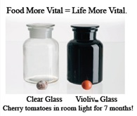 VioLive Glassware