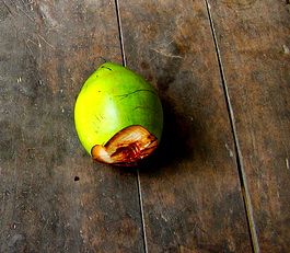 health benefits of coconut